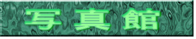 ʐ^