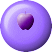 N{^P